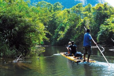 1 Day Khao Sok Jungle Safari and 2 Days Cheow Lan Lake Explorer from Krabi - Jungle Day 1: hiking, a river feel, and why timing matters for animals