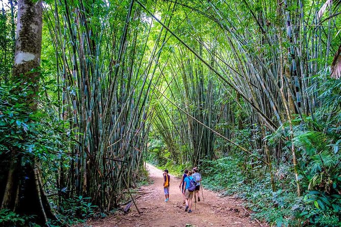 1 Day Khao Sok Jungle Safari and 2 Days Cheow Lan Lake Explorer from Krabi - Sleeping on water: what the raft house and jungle bungalow are really like