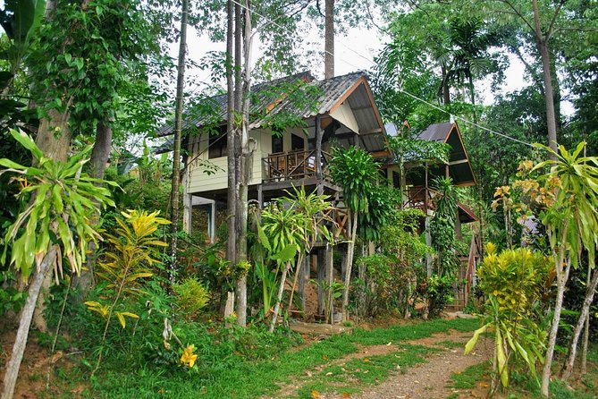 1 Day Khao Sok Jungle Safari and 2 Days Cheow Lan Lake Explorer from Krabi - Who this tour fits best (and who should sit this one out)