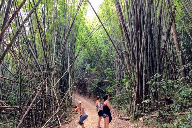 2-Day Khao Sok Jungle Safari from Krabi - Should You Book the 2-Day Khao Sok Jungle Safari?