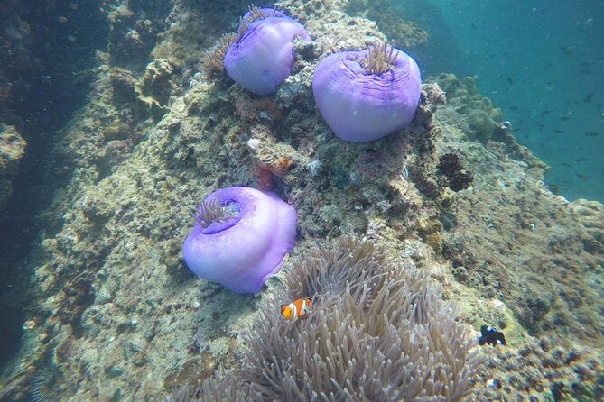 7 Islands Sunset Tour with Buffet Dinner & Night Snorkeling - Tup Island sandbar walk: the low-tide moment with one big catch