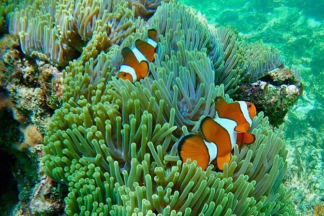 Amazing Krabi 7 Islands One Day Snorkeling Tour By Big Longtail Boat - Poda Island lunch and downtime on the scenic stop