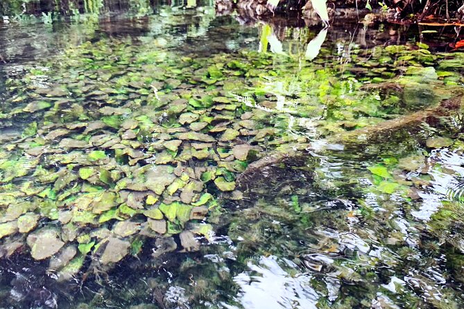 Ao Nang Kayaking at Klong Rud with Hotel Transfer - Who This Kayak Trip Suits Best (And Who Might Want a Different Plan)