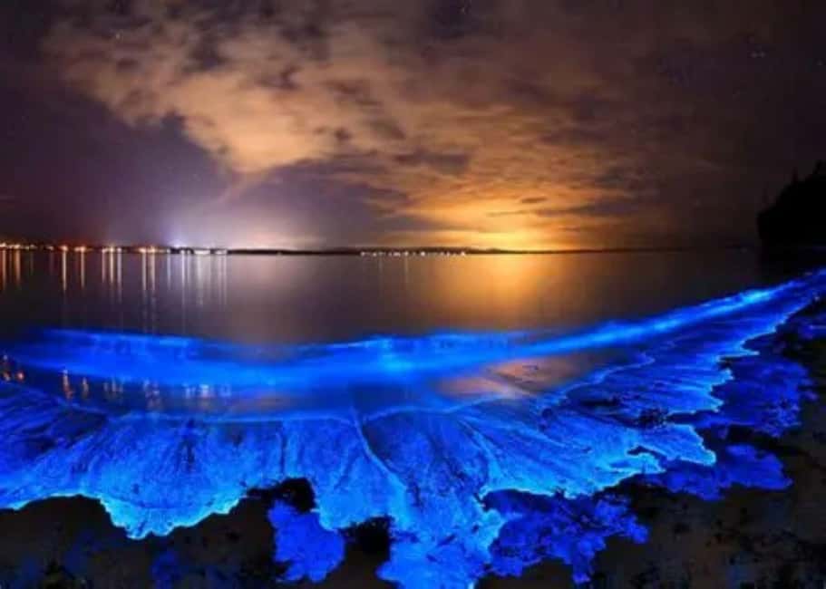 Ao Nang Night Tour – Swim with bioluminescent plankton - Who should book this, and who should skip
