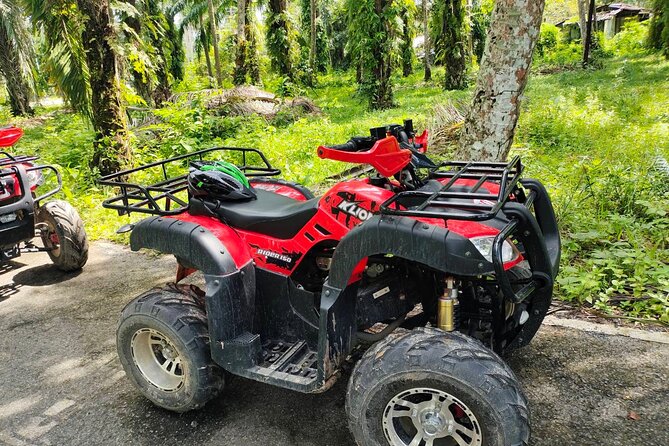 ATV Jungle Adventure in Krabi with Roundtrip Transfer - Easy vs. advanced riding: how guides manage different comfort levels