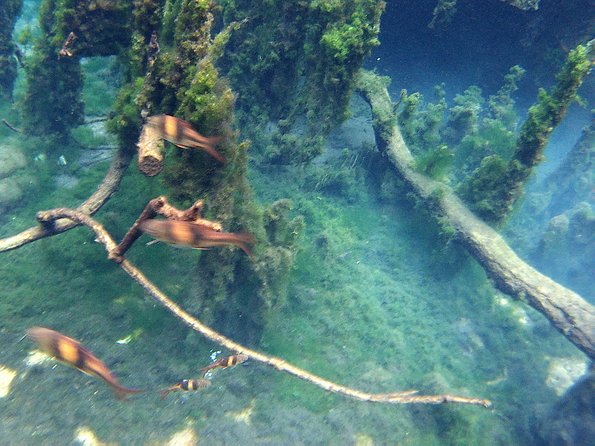 ATV & Kayaking in Hidden Freshwater Lagoon, Unseen Krabi Half Day Trip - Safety Notes That Matter (Especially for First-Timers)