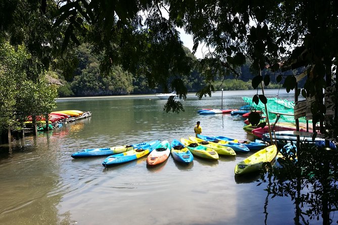 Early bird kayak adventure at AO Thalane - The mangrove route: 5 to 7 km of canyons and quiet turns