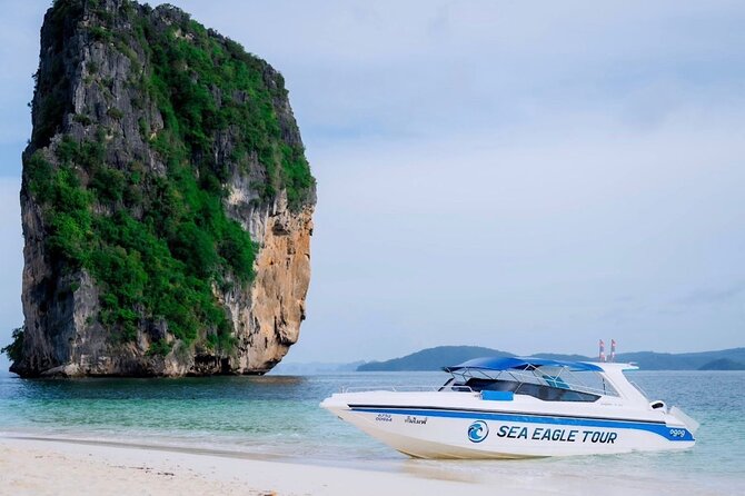 Early Bird Phi Phi 4 Islands by Speedboat 2 Trips in 1 Day - Who this tour fits best (and who should rethink it)