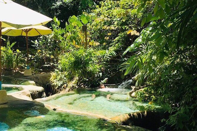 Emerald Pool: Jungle Tour, Private Full Day with Lunch - Price and Value in Krabi: Is $170.23 Worth It?