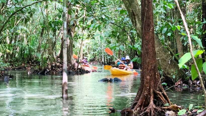 From Ao Nang: Kayaking at Klong Rud with Hotel Transfers - Time on the Water: Pace, Group Flow, and Rain Plans