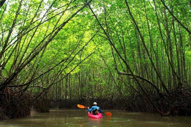 From Krabi: Great Cheow Lan Lake Day Trip with Lunch at PhuTawan - Kayaking, swimming, and sun time: the lake is the reward