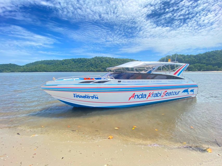 From Krabi: Phi Phi Island Full-Day Private Speed Boat Tour - Tonsai Bay on Phi Phi Don: Picnic Lunch and a Break from the Speed