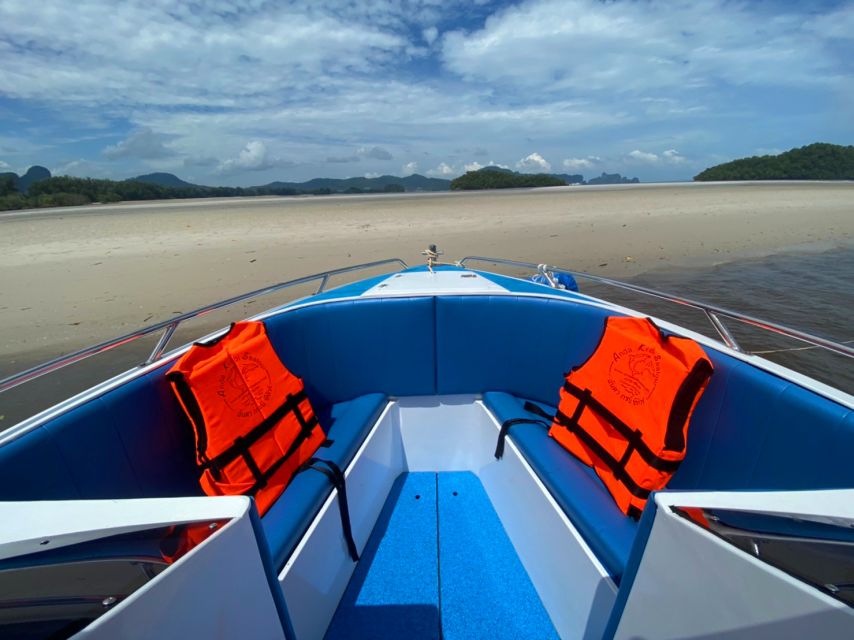 From Krabi: Phi Phi Island Full-Day Private Speed Boat Tour - Viking Cave and Pi Leh Lagoon: Birds Over Emerald Water