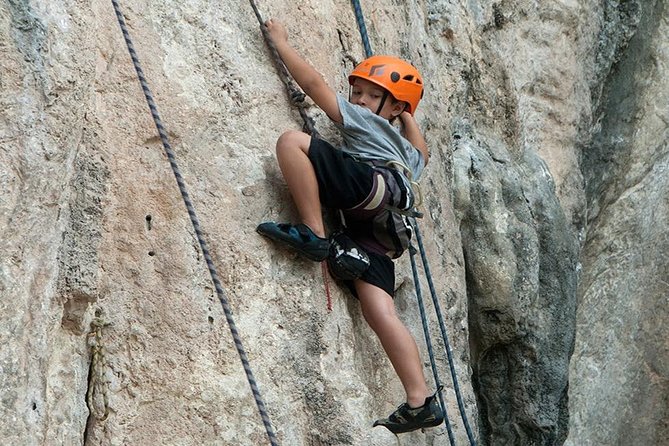 Full-Day Rock Climbing Course at Railay Beach by King Climbers from Krabi - What the course covers: rope climbing, bouldering, and rappelling