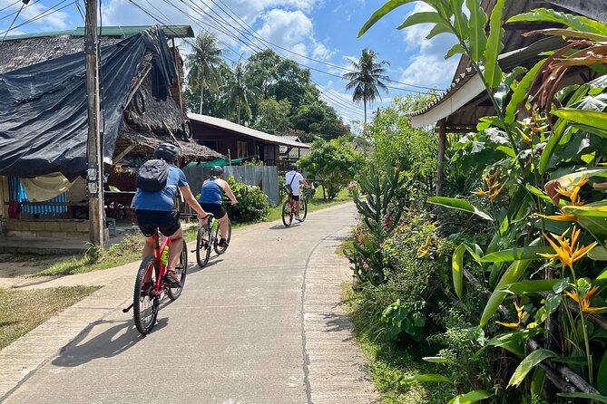 Guided Mountain Biking - Grand Tour - Trails of Ao Nang - Key points worth clocking before you book
