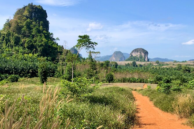 Guided Mountain Biking - Grand Tour - Trails of Ao Nang - Price and value: why $96.48 can make sense here