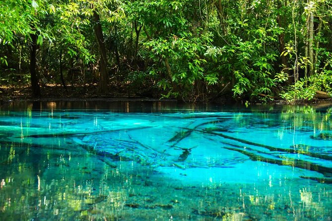 Half-Day Jungle Tour Including Crystal Pool and Krabi Hot Springs - Key Points Before You Go