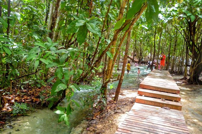 Half-Day Jungle Tour Including Crystal Pool and Krabi Hot Springs - The Big Idea: Jungle Pools Plus Hot Springs in One Stretch