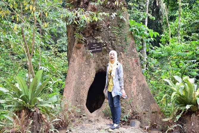 Half-Day Jungle Tour Including Crystal Pool and Krabi Hot Springs - Krabi Hot Springs: A Warm Soak That Feels Like a Reset Button