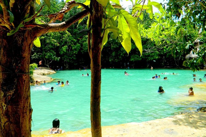 Half-Day Jungle Tour Including Crystal Pool and Krabi Hot Springs - Meet the Jungle: Khlong Thom National Park Area and the Walk Pace