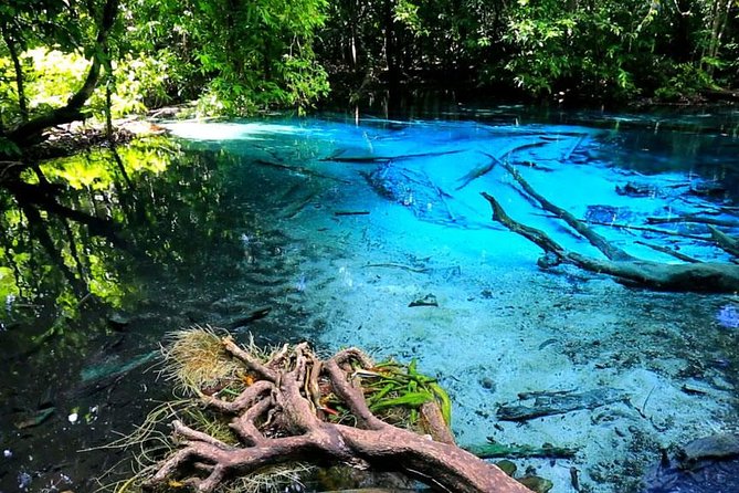Half Day Jungle Tour to Emerald pool and Krabi Hot Spring - Emerald Pool and Krabi Hot Springs: how this half-day tour plays out