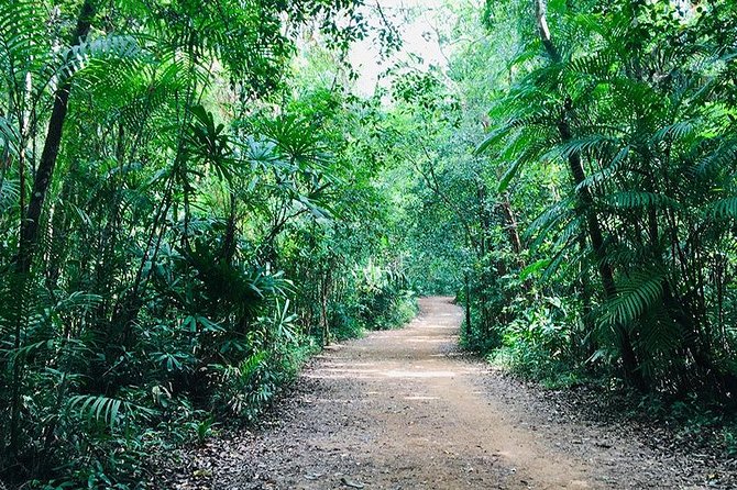 Half Day Jungle Tour to Emerald pool and Krabi Hot Spring - Namtok Ron (Hot Spring Waterfall): a soaking break, not a long hike