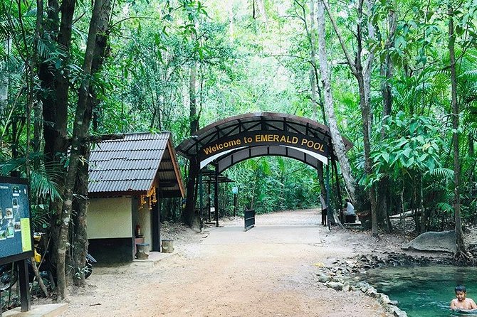 Half Day Jungle Tour to Emerald pool and Krabi Hot Spring - Park fees and the true price: where the value can shift