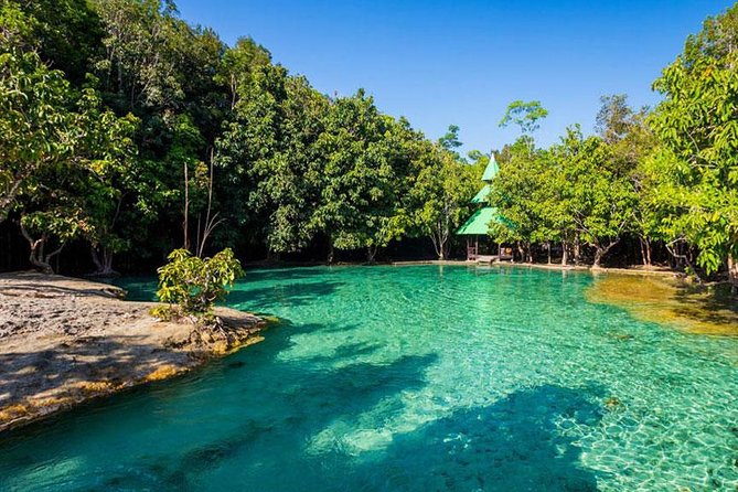 Half Day Jungle Tour to Emerald pool and Krabi Hot Spring - Guide style and group size: small enough to help, busy enough to crowd