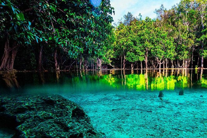 Jungle Tour to Emerald Pool, Krabi Hot Spring and Tiger Cave Temple - A 7-hour Krabi day with three different kinds of relief