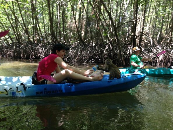 Kayaking in Ao Thalane - Discover the Mangrove life - Key highlights worth caring about
