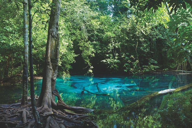 Kayaking in Ao Thalane - Discover the Mangrove life - Your day at a glance: 10:00 am start, about 8 hours