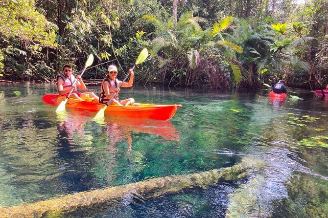 Kayaking Klongroot-Klongnamsai - How The 3-Hour Klong Nam Sai Kayak Day Actually Feels
