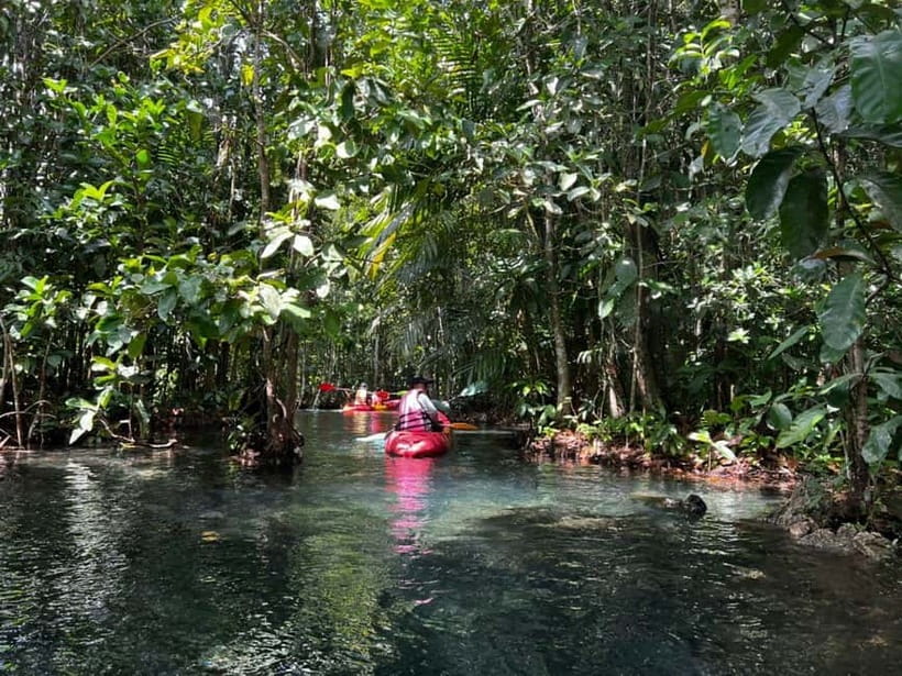 Klong Rud Kayaking with Hotel Transfer - Key things I’d clock before you go