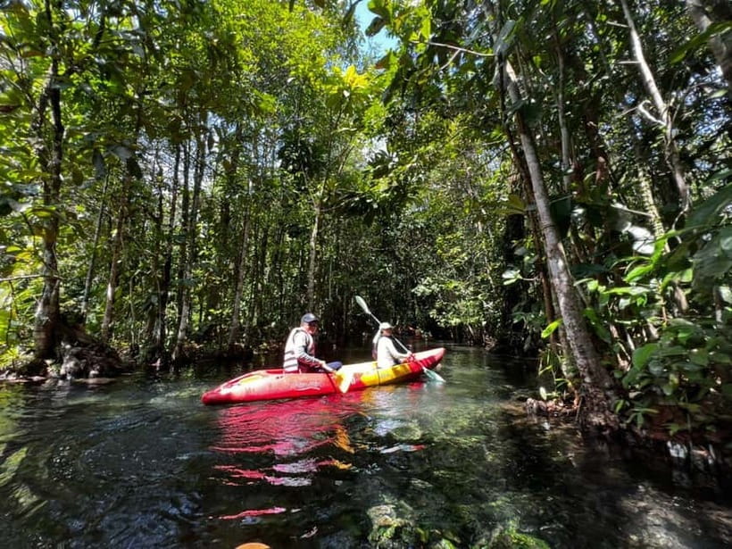 Klong Rud Kayaking with Hotel Transfer - Paddling through the forest-and-lagoon view you came for