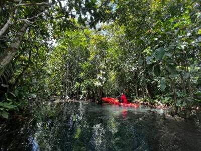 Klong Rud Kayaking with Hotel Transfer - Hitting the water: what your kayak time feels like