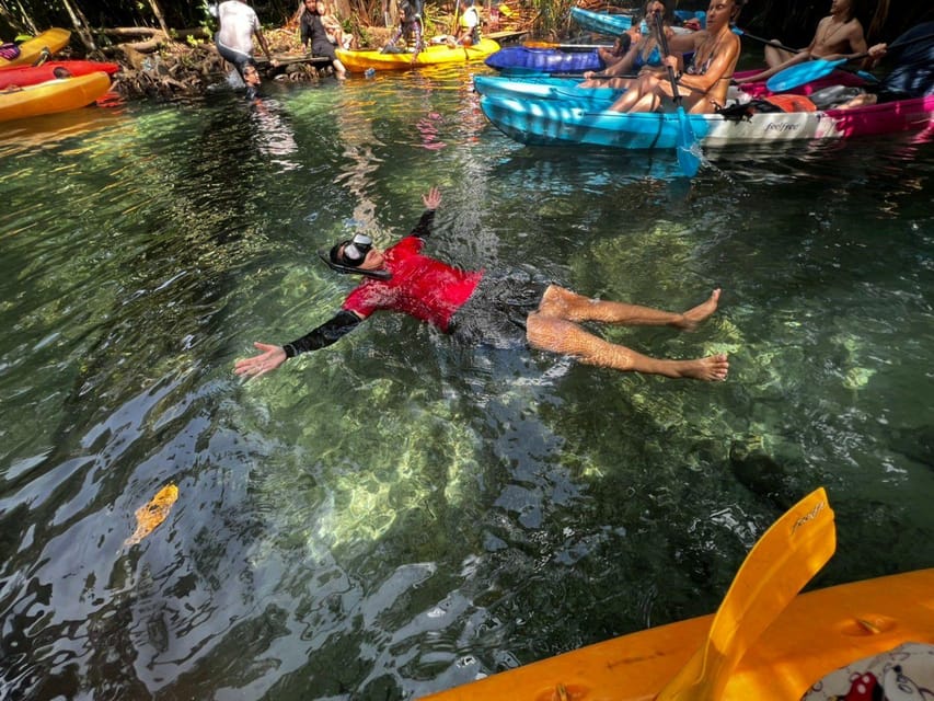 Klong Rud Kayaking with Hotel Transfer - Wildlife viewing: what you can reasonably expect