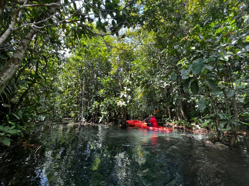 Klong Rud Kayaking with Hotel Transfer - What to bring, what to wear, and what to avoid