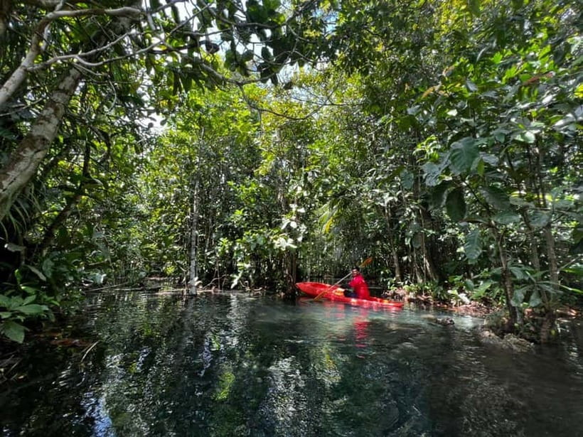 Klong Rud Kayaking with Hotel Transfer - Hitting the water: what your kayak time feels like