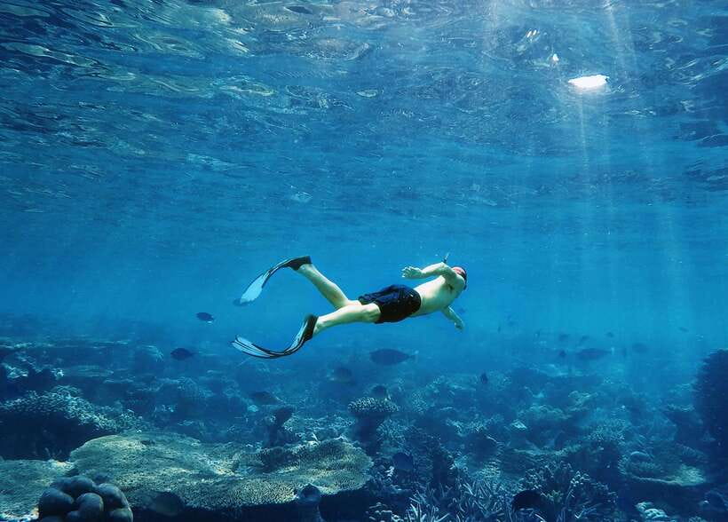 Ko Lanta: Full-Day Snorkel Trip to Phi Phi & Bamboo Islands - Loh Moo Dee Bay Snorkeling: Second Reef Chance