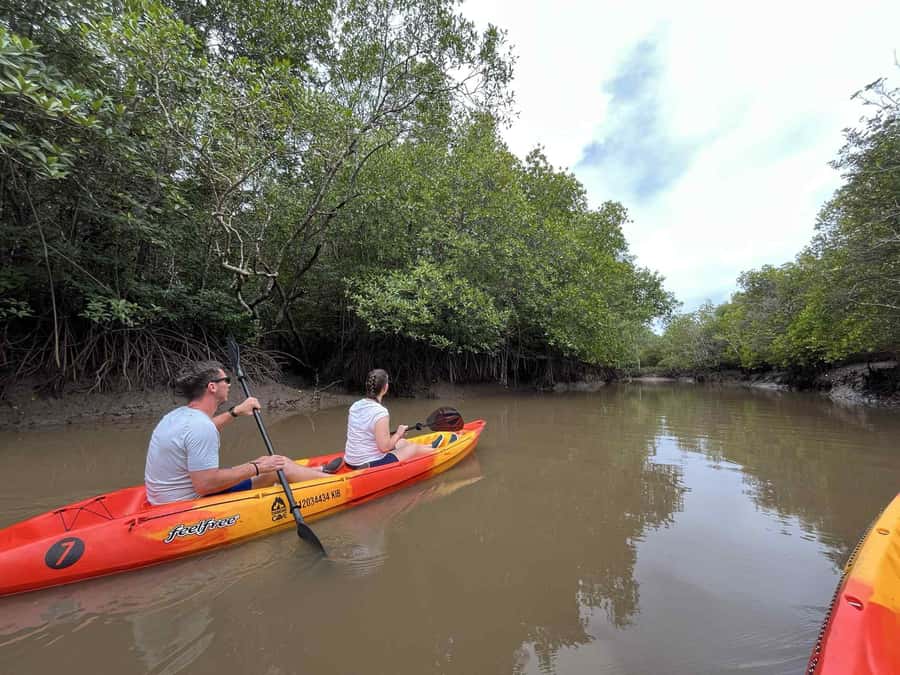 Koh Lanta: Amazon Mangrove Kayaking Tour With Lunch - Key Things You’ll Care About Before You Go