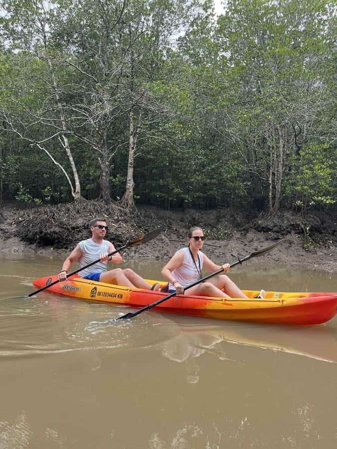 Koh Lanta: Amazon Mangrove Kayaking Tour With Lunch - Tour Flow in Plain Language: Pickup, Paddle, Then Back Again