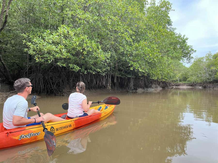 Koh Lanta: Amazon Mangrove Kayaking Tour With Lunch - Price and Value: Is $28 Worth It?