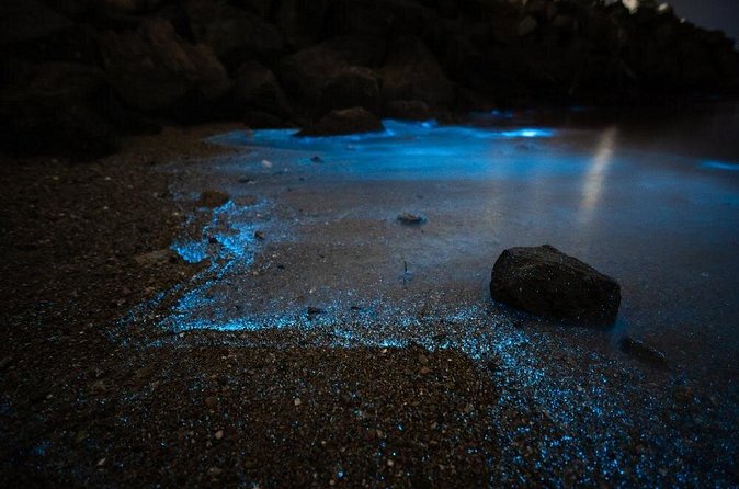 Krabi 7 Islands Longtail Boat Sunset BBQ - Khea Reux Bin and Bioluminescent Plankton: The Glow Part