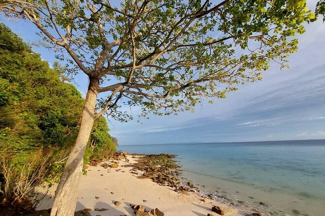 Krabi 7 Islands Sunset Tour with Bioluminescent Plankton + BBQ - Group size, comfort, and the logistics you should prepare for