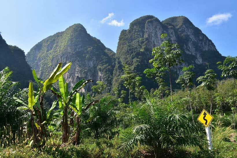 Krabi: A Kayaking Odyssey through Din Daeng Mangrove Maze - Price and Value: What You Really Get for $32