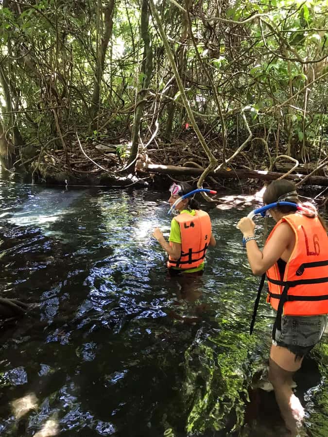 Krabi: Amazon Klong Srakaew Kayaking With Lunch - Why Klong SraKaew Canal feels like a real break in Krabi