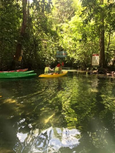 Krabi: Amazon Klong Srakaew Kayaking With Lunch - The short 3-hour plan: kayak, tube float, then lunch