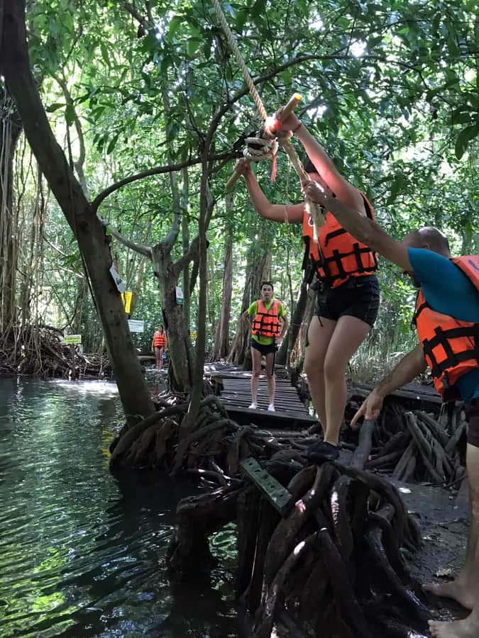 Krabi: Amazon Klong Srakaew Kayaking With Lunch - The lunch stop: fried rice, fruit, and soft drinks after paddling