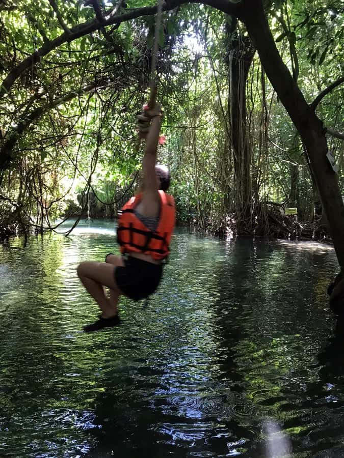Krabi: Amazon Klong Srakaew Kayaking With Lunch - Price and value: is $46 for Krabi kayaking with lunch worth it?