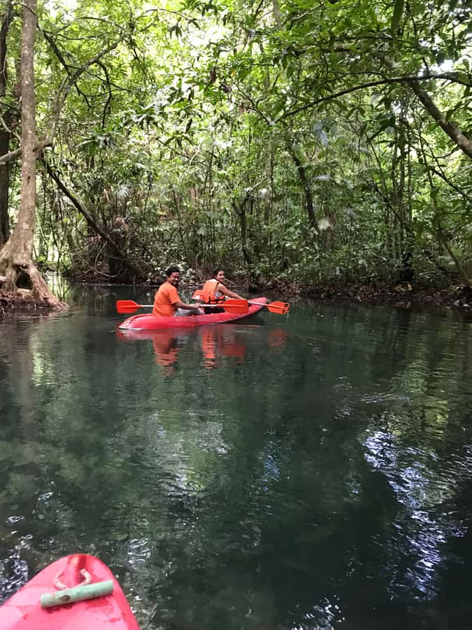 Krabi: Amazon Klong Srakaew Kayaking With Lunch - What’s included vs. what you’ll need to handle yourself